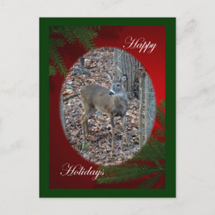 Postal Festiva Whitetail Deer Spike Buck Happy Holidays Series