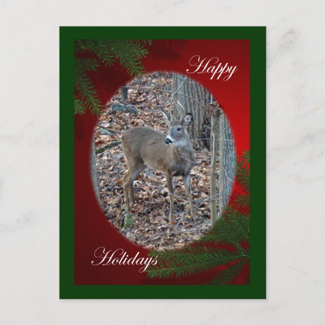 Postal Festiva Whitetail Deer Spike Buck Happy Holidays Series (Anverso)
