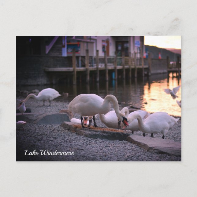 Postal Festiva Windermere, el distrito de los lagos en Inglaterra (Anverso)