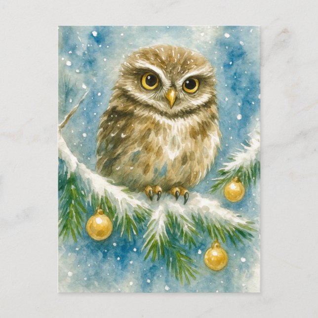 Postal Festiva Winter Owl on Snowy Branch Christmas Postcard (Anverso)