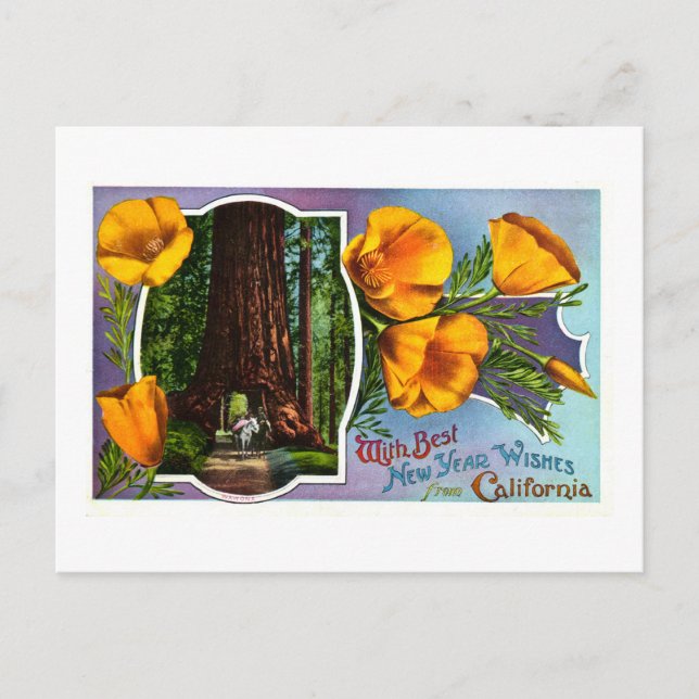 Postal Festiva With Best New Year Wishes from California (Anverso)