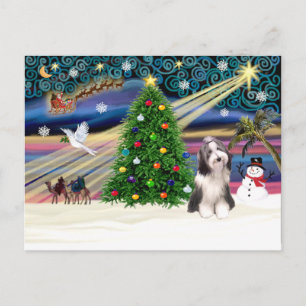 Postal Festiva Xmas Magic-Beardie4