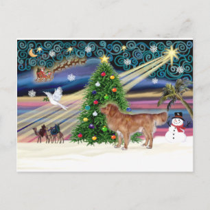 Postal Festiva Xmas Magic-NovaScotia