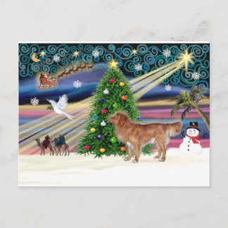 Postal Festiva Xmas Magic-NovaScotia