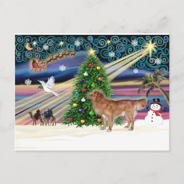 Postal Festiva Xmas Magic-NovaScotia (Anverso)