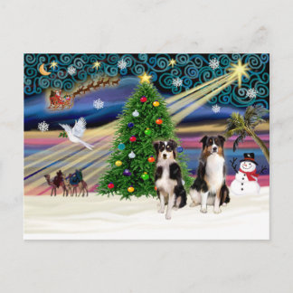 Postal Festiva Xmas Magic-Tri-AussieShepPAIR-6-7