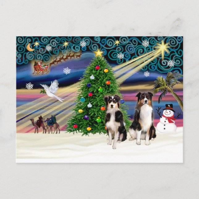 Postal Festiva Xmas Magic-Tri-AussieShepPAIR-6-7 (Anverso)