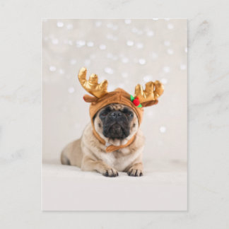Postal Festiva XMas Pug