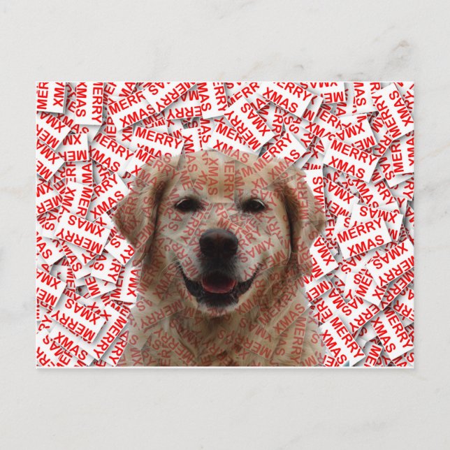 Postal Festiva Xmas Sonriendo Perro recuperador de oro (Anverso)