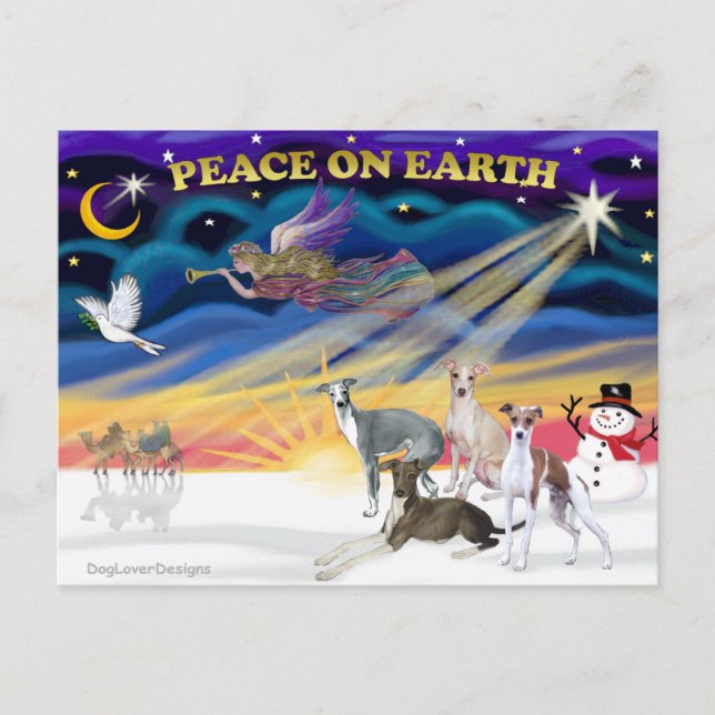 Postal Festiva Xmas Sunrise - Cuatro Greyhounds italianos (Anverso)