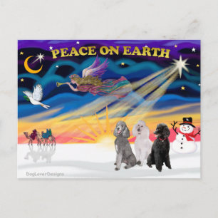 Postal Festiva Xmas Sunrise - Tres Poodles Estándar