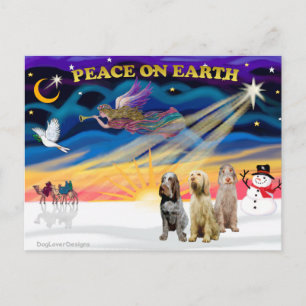 Postal Festiva Xmas Sunrise - Tres Spinones Italianos