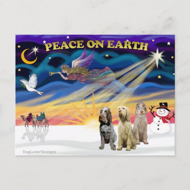 Postal Festiva Xmas Sunrise - Tres Spinones Italianos (Anverso)