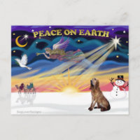 XmasSunrise-BLoodhound