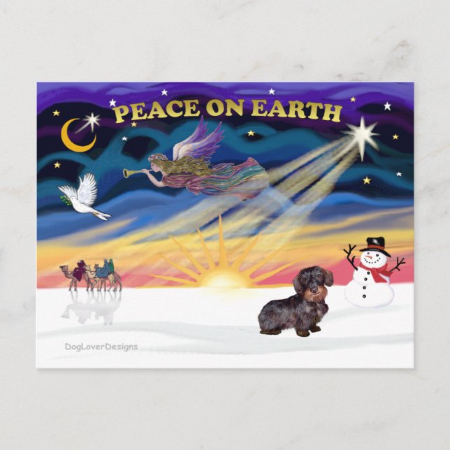 Postal Festiva XmasSunrise-WireHaired Dachshund (Anverso)