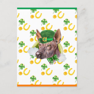 Postal Festiva Xoloitzcuintle Shamrock St Patricks Day