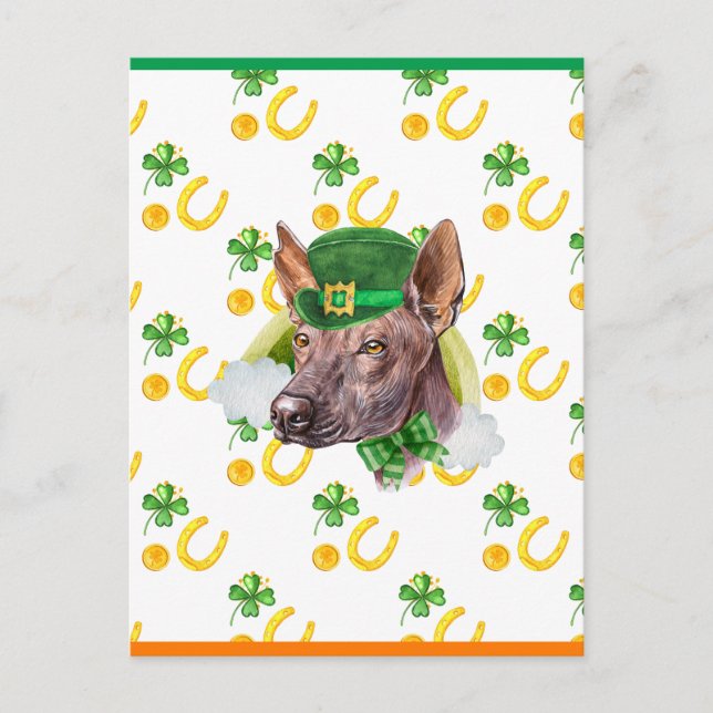 Postal Festiva Xoloitzcuintle Shamrock St Patricks Day (Anverso)