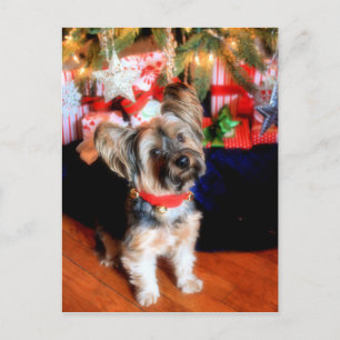 Postal Festiva Yorkshire Terrier en campanario con Navidades