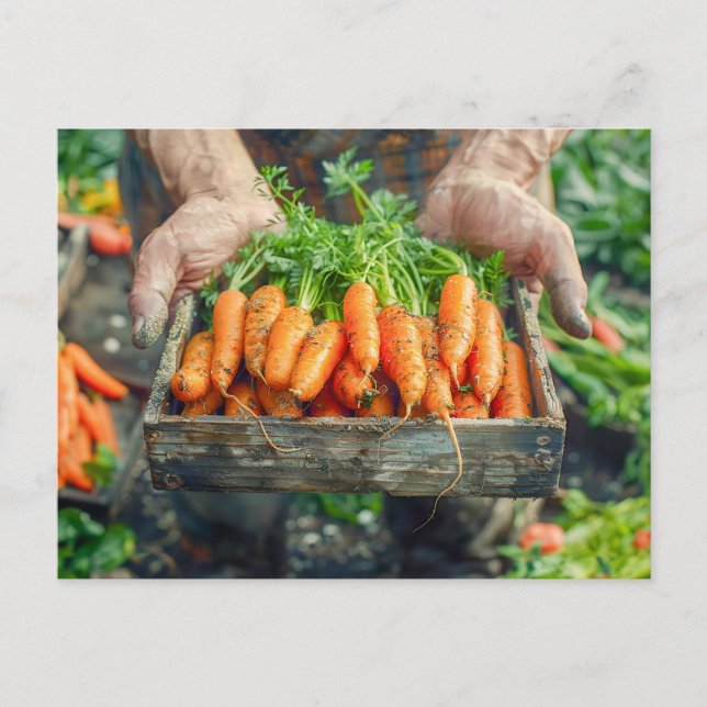 Postal Festiva Zanahorias frescas en tasa de madera (Anverso)