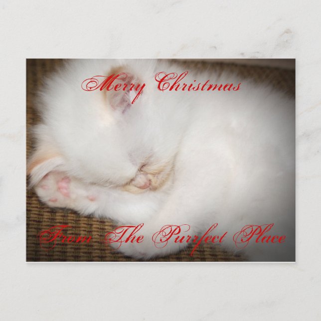 Postal Festiva zazzle, feliz ChristmasFrom el lugar de Purrfect (Anverso)