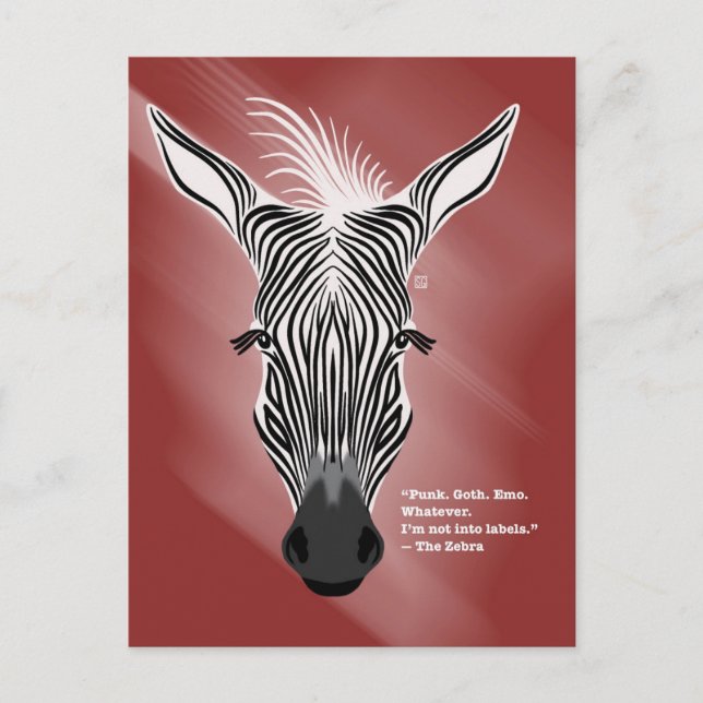 Postal Festiva Zebra without Labels Postcards (Anverso)