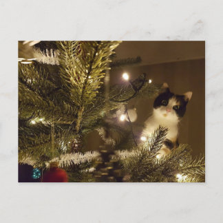 Postal Festiva Zelma with the christmas tree