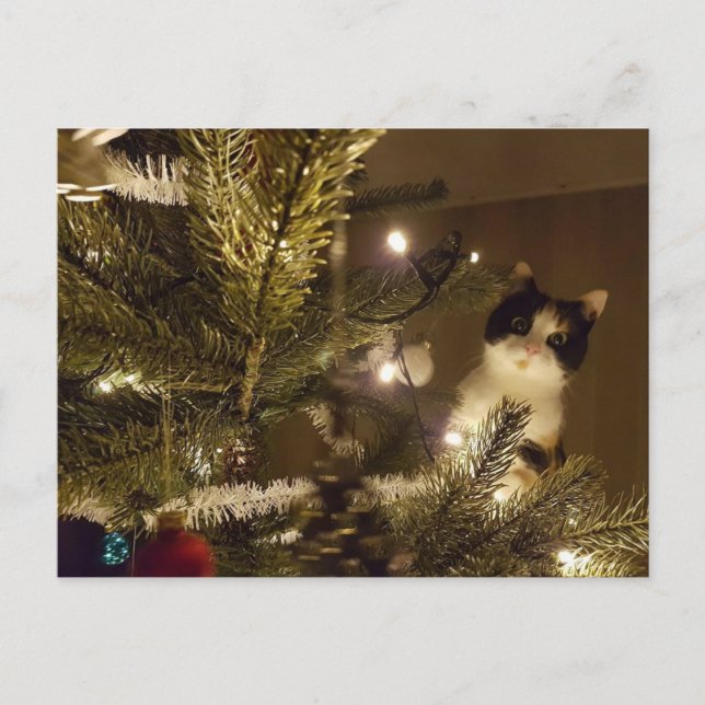 Postal Festiva Zelma with the christmas tree (Anverso)
