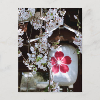 Postal Festival de Flor de Cerezo en Kioto
