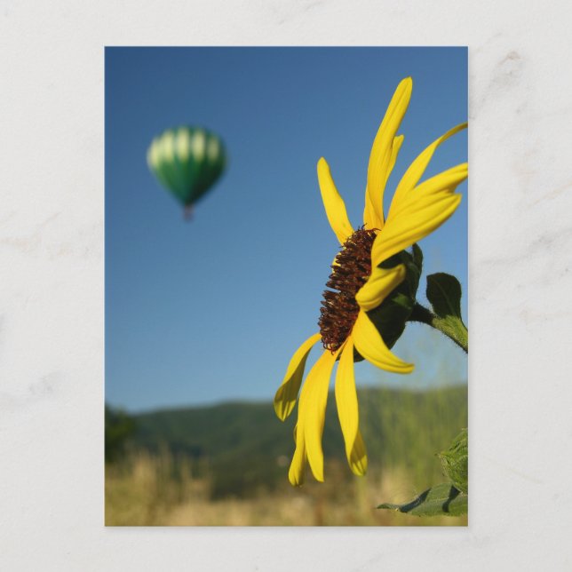 Postal Festival de Globos (Anverso)