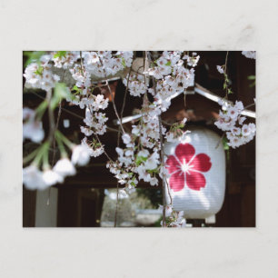 Postal Festival de las flores de cerezo en Kioto