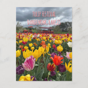 Postal Festival de Tulipanes, Dandenong, Victoria