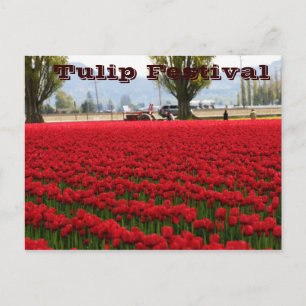 Postal Festival del tulipán