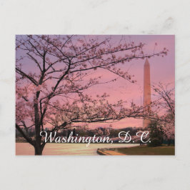 Postal Festival Washington Monument Cherry Blossom