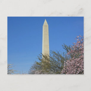 Postal Festival Washington Monument Cherry Blossom