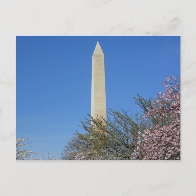 Postal Festival Washington Monument Cherry Blossom (Anverso)