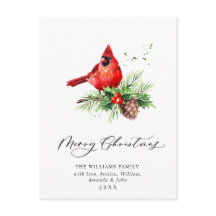 Festividad del Cardenal Rojo Holly Berry
