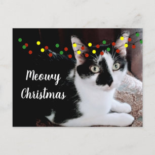 Postal Festividad del gato de los navidades