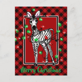 Postal Festividad festividad Zebra Holly era de yeso rojo