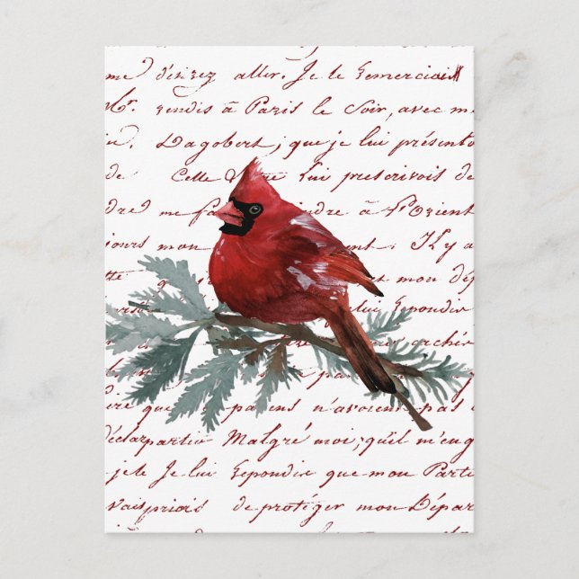 Postal Festividad navidad Cardenal rojo pájaro escritura  (Anverso)