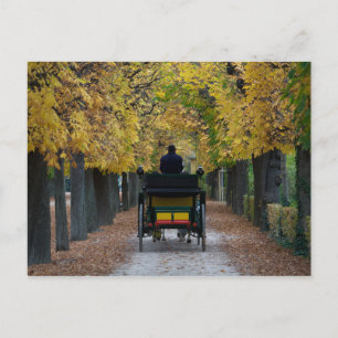 Postal Fiaker En Schönbrunn, Wien Österreich