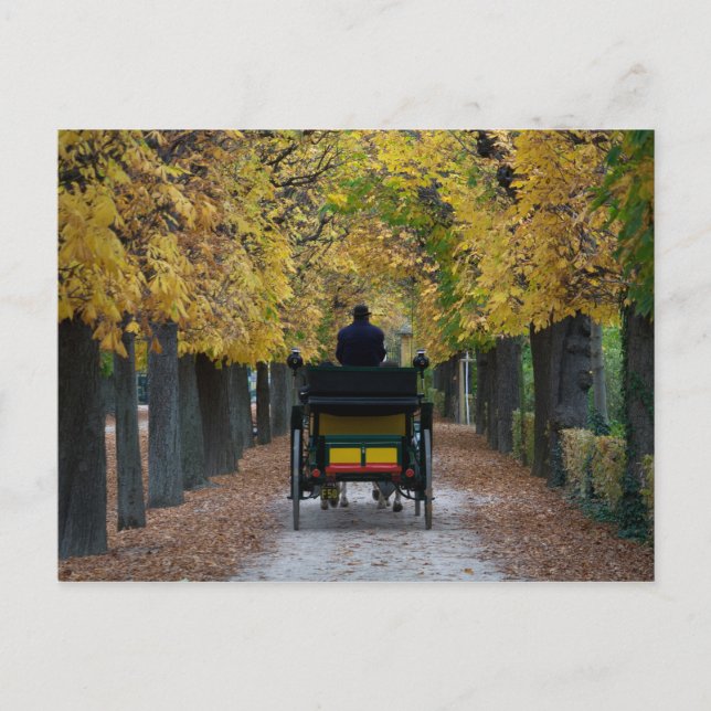 Postal Fiaker En Schönbrunn, Wien Österreich (Anverso)