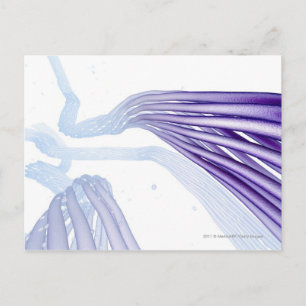 Postal Fibras nerviosas estilizadas