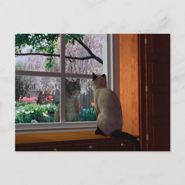 Postal Fiebre de primavera (Anverso)