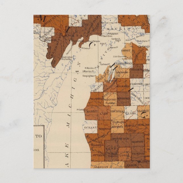 Postal Fiebre tifoidea Michigan (Anverso)