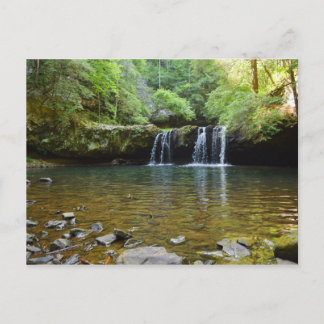 Postal Fiery Gizzard Trail Tennessee Postcard