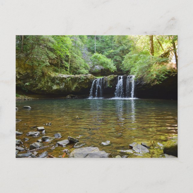 Postal Fiery Gizzard Trail Tennessee Postcard (Anverso)