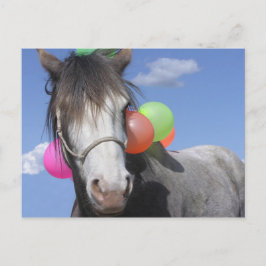 Postal Fiesta Animal