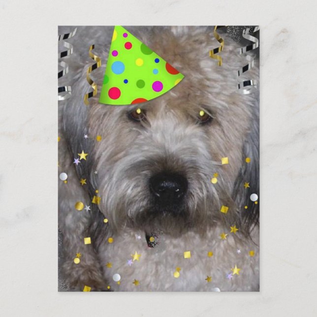 Postal Fiesta Animal Wheaton Terrier (Anverso)