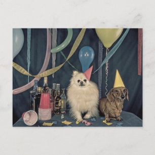 Postal Fiesta de Cumpleaños con Perros y Bebidas