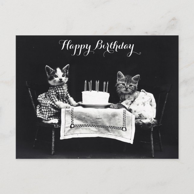 Postal Fiesta de cumpleaños de gato bonito (Anverso)